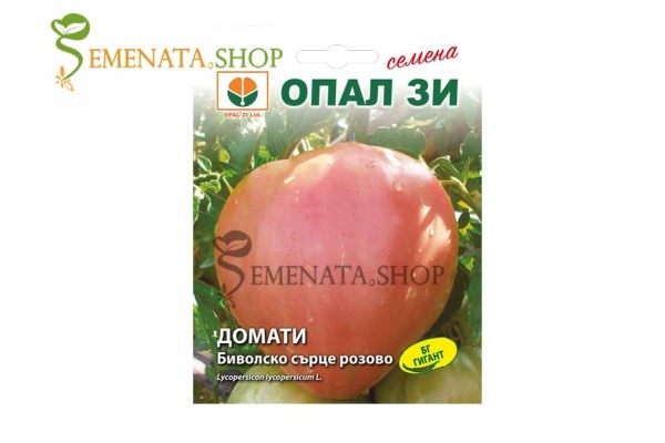 Семена на домати тип Биволско сърце Розово за вкусни салати Семена на домати тип Биволско сърце Розово за вкусни салати